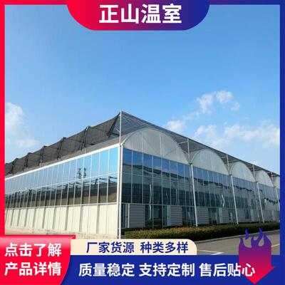 连栋玻璃温室大棚采光面积大光照均匀适用蔬菜花卉育苗玻璃温室