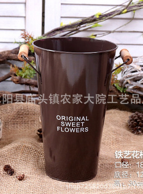 鲜花鲜花养花干花花盆装饰摆件