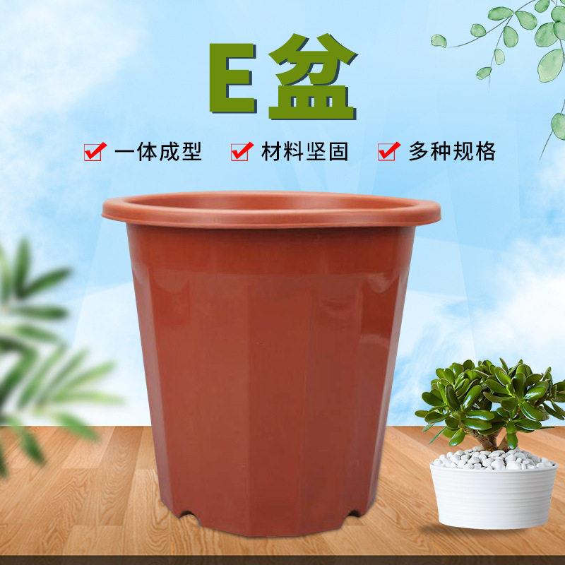 E型红色花盆十二角盆角塑料花盆e角盆基地发财树育苗种植盆