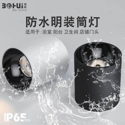 户外室外店铺门头阳台露台酒店雨棚吸顶防雾射灯led明装防水筒灯