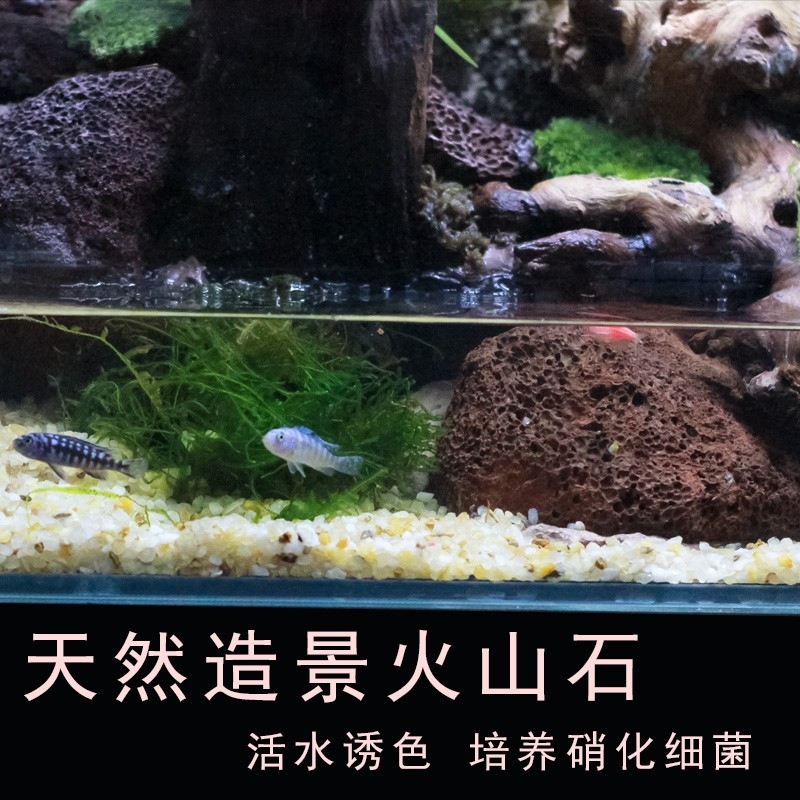 天然造景火山石水陆缸鱼缸装饰材料玄武岩草缸套餐生态缸雨林假山