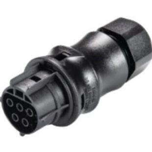 德国威琅连接器5芯母头螺钉连接头wieland96.051.4053.1对接防水