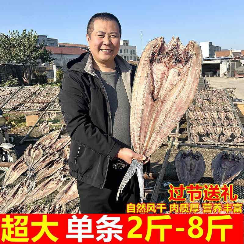 超大2斤-8斤整条送礼用 山东日照圆头大鲅鱼干 干刀燕马鲛鱼海鱼