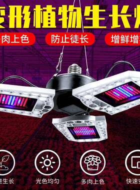led植物生长灯红蓝光谱E27E26植物灯可折叠216珠240珠297珠种植灯