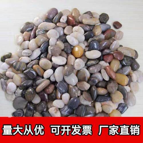 安徽天然五彩鹅卵石造景雨花石原石鹅软石庭院白石子花园石头