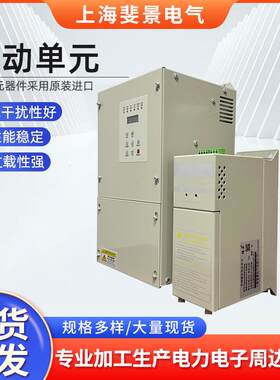 厂家供应三相制动单元700V级CDBR-F6110型斩波器电压可调变频器用