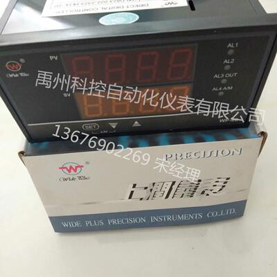 WP-D835-022-12/12-AWP-D835-022-1212-HL-R-M-B数显表控制仪
