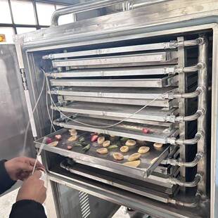 中草药商用冻干机口服液棉花糖真空冻干设备香蕉苹果冻干机