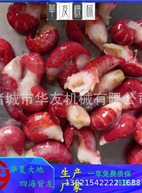 全自竹笋挂海冰机 连续756式包果蔬冰机 动产品裹冰挂冰设备