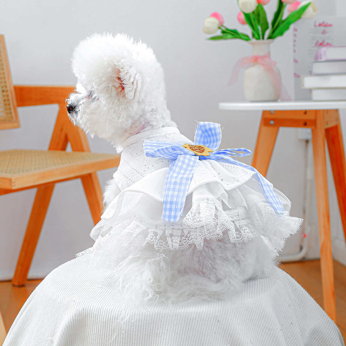 petcircle蓬蓬狗狗现货外贸圈宠物直销裙衣服批发宠物厂家海盐