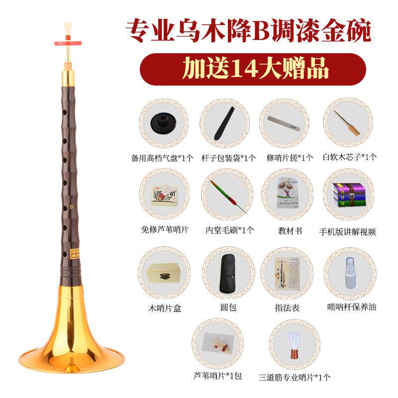 高档王叭家彪乌木调镜面堂D唢呐乐初学者全套高级喇民族入门专器