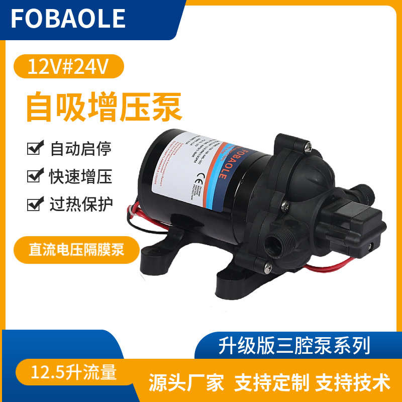 家用增压洗车泵清水自吸泵12V船用车载电瓶自吸泵24V游艇泵饮水泵