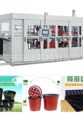 全自动吸塑成型机 塑料托盘育苗穴盘生产设备 幼苗培养皿生产机器