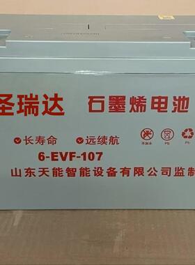 电动四轮车12V107AH 100AH6-EVF-107免维护观光车动力蓄电池
