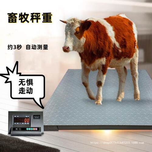 畜牧小型地磅秤称猪秤牛秤羊地磅防抖动1-3吨工厂小型电子地磅称