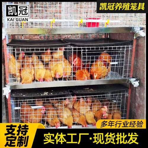 肉鸡笼全自动层叠式框架半自动立体镀锌鸡舍家用养殖层叠式蛋鸡笼