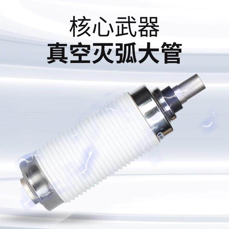 VS1-1/6320户内高压真空断路器10封KV柜内ZN6固3固定手车VS1-12/6