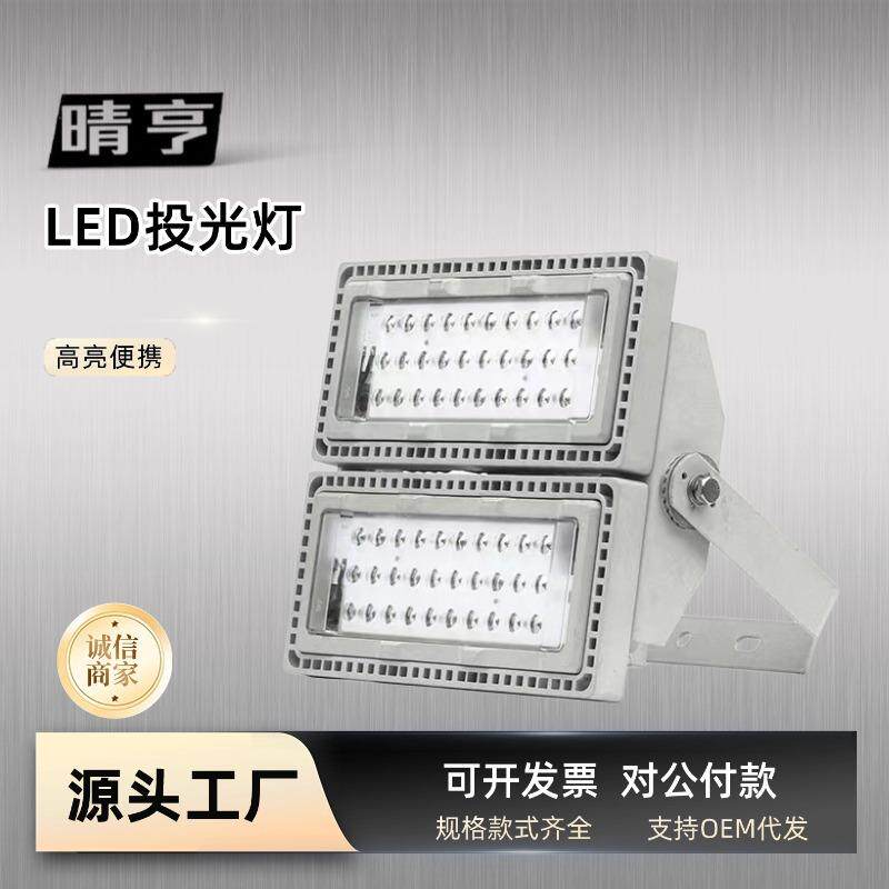 NTC9280模组LED投光灯港口电厂铁路110W210W体育场馆防震泛光灯