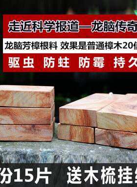 龙脑传奇—天然香樟木块衣柜纯樟木条樟木球樟脑丸防虫防蛀驱蟑螂