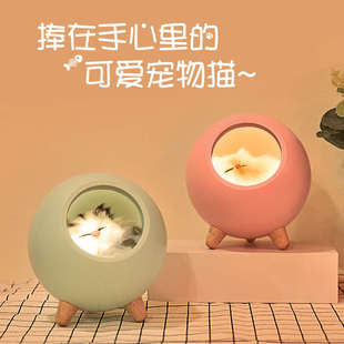 创意可爱猫咪小宠屋氛围小夜灯触摸充电式少女心卧室床头伴睡台灯