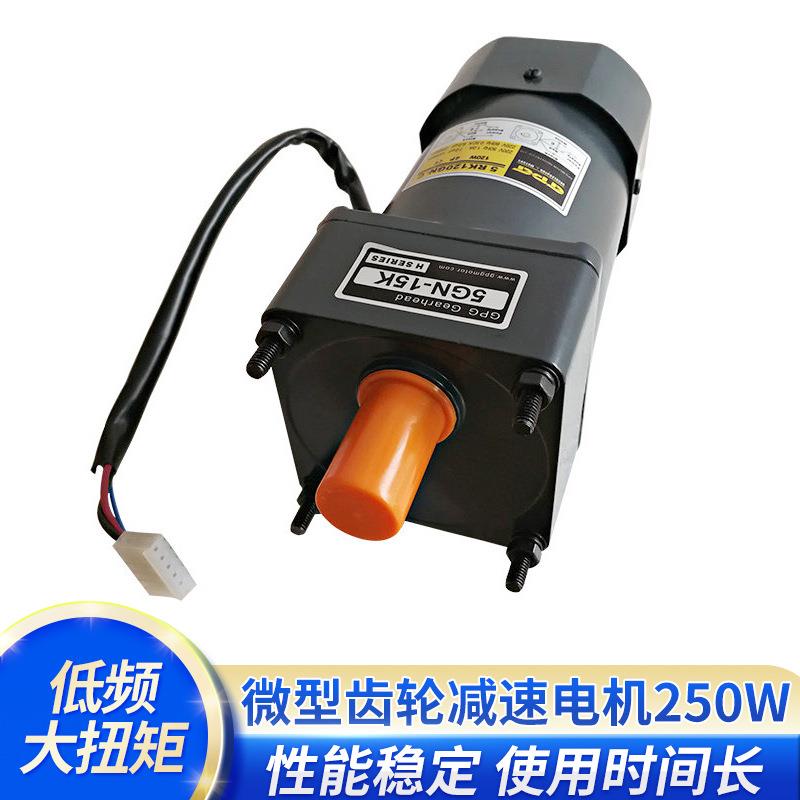 非标定制250W硬齿轮减速电动机微型电机交流220VGPG调速马达