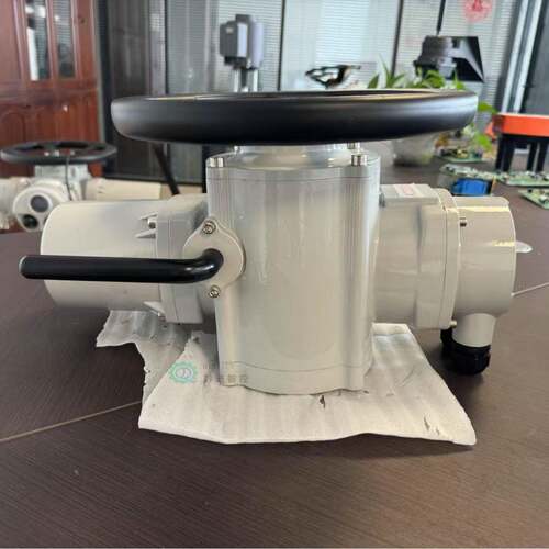 DZW90户外型电动装置380V非侵入式设计Z90-24r手电两用900N.M开关