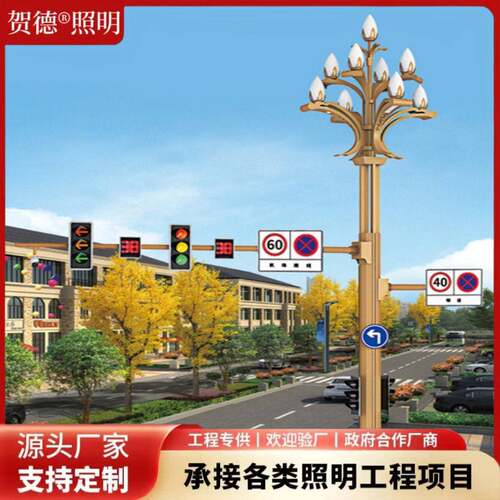 源头工厂广场加工定制景观灯景区led户外灯工程道路市政道路玉兰