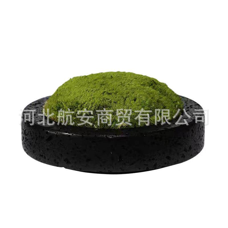 现代简约创意大理石花盆苔藓盆大理石果盘样板房售楼处桌面电视柜