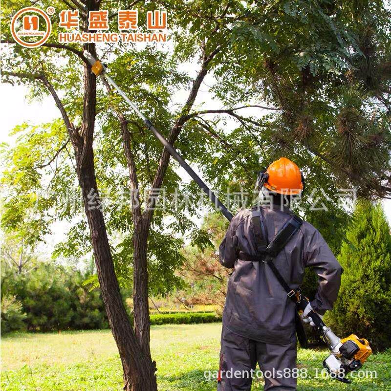 山东华盛高枝锯高枝油锯 可伸缩工作杆4.3米大功率QJB270汽油链锯