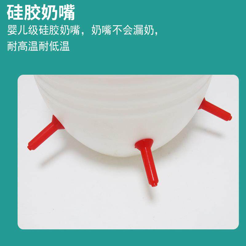 羊羔补奶桶仔猪喂奶器小羊喂奶器8升容量6个补奶位间距大不碰头