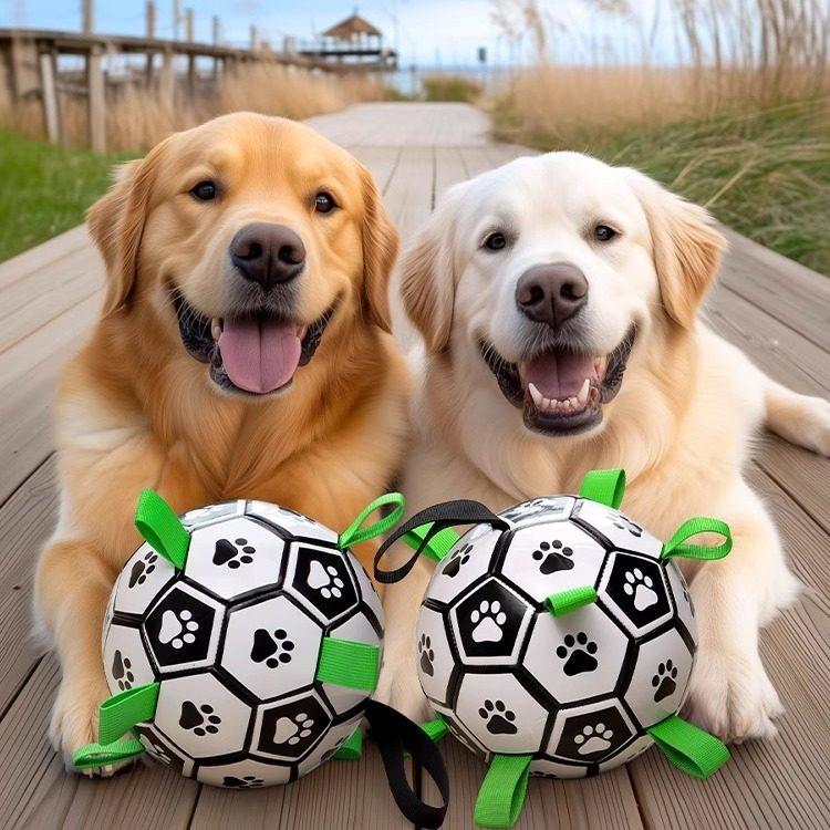 狗狗玩具足球互动训练专用大型犬金毛拉布拉多耐咬玩具球宠物用品