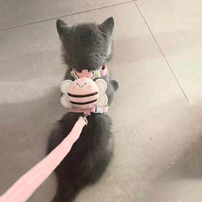 猫咪牵引绳防挣脱外出专用遛猫绳溜猫链子宠物胸背带猫绳子可调节,宠物/宠物食品及用品,猫牵引绳,淘宝优惠券,粉丝福利购,淘宝优惠卷