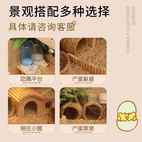 实木芦丁鸡饲养箱专用仓鼠金丝屋宠物笼子育雏养殖恒温房子鸡窝厂