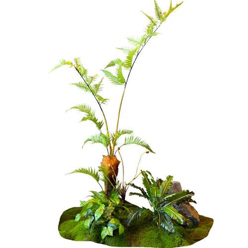 仿真绿植组合长条造景室内玄关墙角花槽植物装饰商场橱窗苔藓摆件