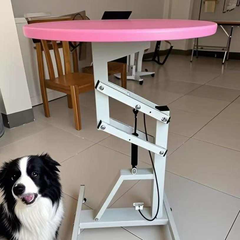 厂家供应宠物气动圆桌美容桌宠物店中小型犬圆形旋转狗狗美容桌,宠物/宠物食品及用品,美容台,淘宝优惠券,粉丝福利购,淘宝优惠卷