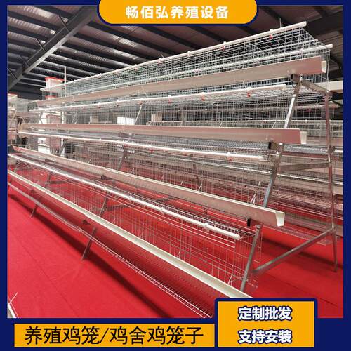 4层5门阶梯蛋鸡笼养殖工厂阶梯型A型鸡笼鸡窝热镀锌可供外贸