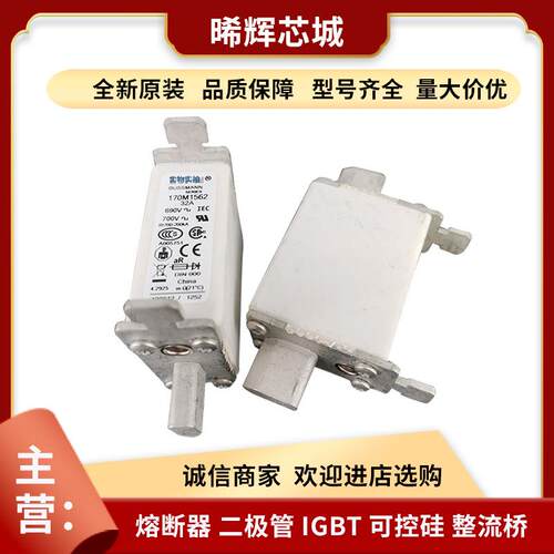 170M2609 170M2610 170M2611型号齐全标准封装现货低压快速熔断器