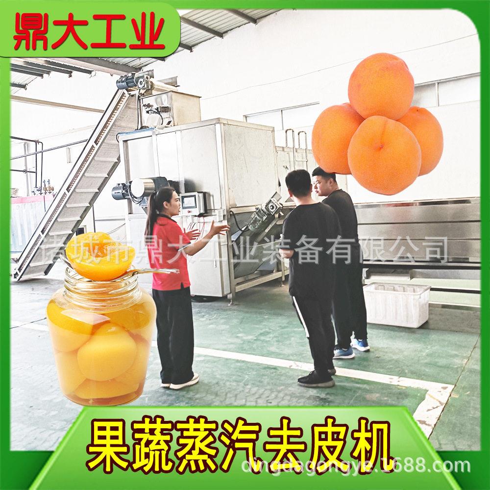 大型葡萄去皮机 无需化学剂 添加 运行稳定损耗少 厂家上门调试