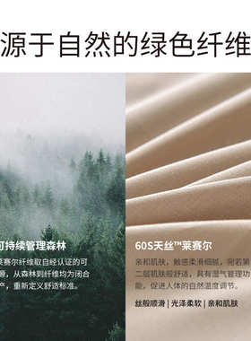 p5601纱60支天式xyt床单素色纯色套件丝四件套床笠