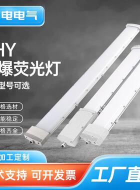 BHY防爆荧光灯 led防爆灯仓库厂房化工厂隔爆日光照明双管荧光灯