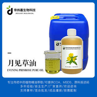 物理压榨晚樱草植物油 月见草油 基础油基底油原料厂家批发