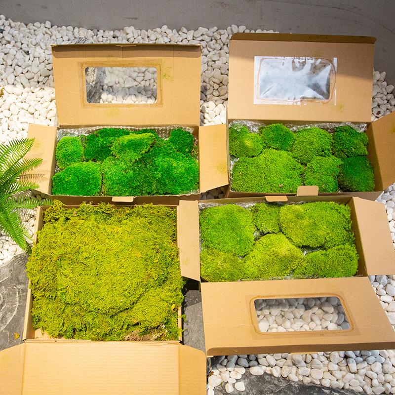 仿真青苔人造草坪室内盆景造景石长草假苔藓植物墙背景装饰微景观