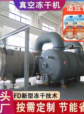 青稞冻干面大型商用设备 FD冻干料面汤冷冻干燥机 馄饨面条冻干机
