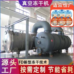 青稞冻干面大型商用设备 FD冻干料面汤冷冻干燥机 馄饨面条冻干机