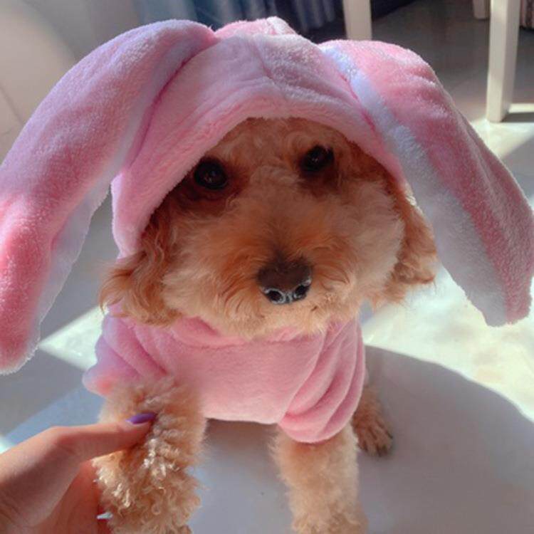 狗狗衣服猫咪狗用品长耳朵兔子猫小犬宠物服饰兔子装毛衣珊瑚绒