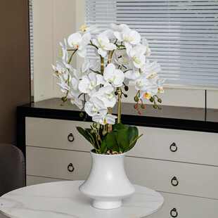 3d花打印仿真批发摆件胶片蝴蝶兰四季盆栽发货客厅盆景带花兰花