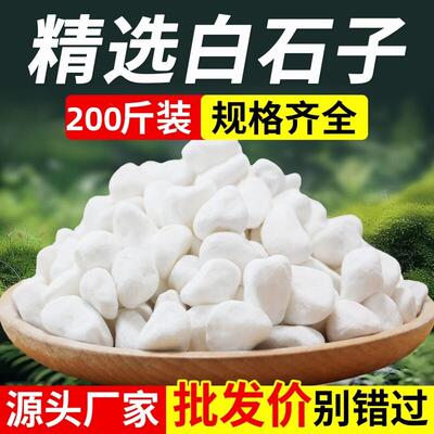 200斤装白色石子石头鹅卵石庭院铺路铺地小白石头造景景观白石子