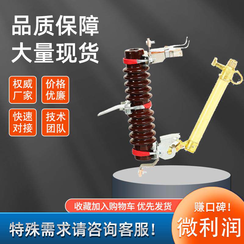 RW10/RW11-12/100A200户外高压跌落式熔断器保险丝座柱上令克开关