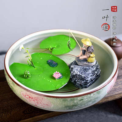 一叶莲水培植物带盆水生植物室内桌面水景绿植水生植物碗莲盆景