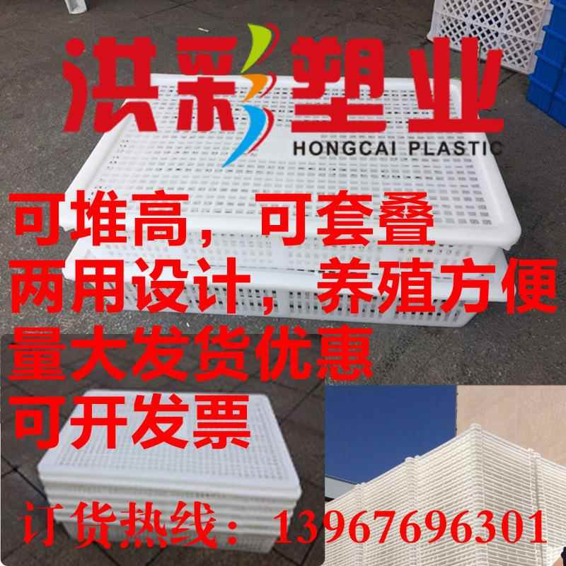 长方形大号箱塑料周鲜转箱网眼白MRI色海虾姑养殖可套叠胶加厚带